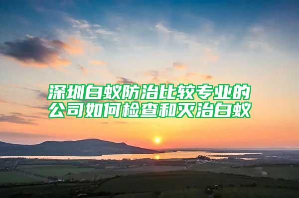 深圳白蚁防治比较专业的公司如何检查和灭治白蚁