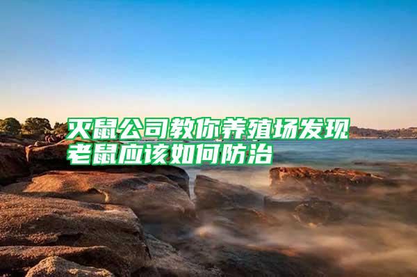 灭鼠公司教你养殖场发现老鼠应该如何防治