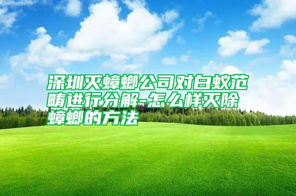 深圳灭蟑螂公司对白蚁范畴进行分解-怎么样灭除蟑螂的方法