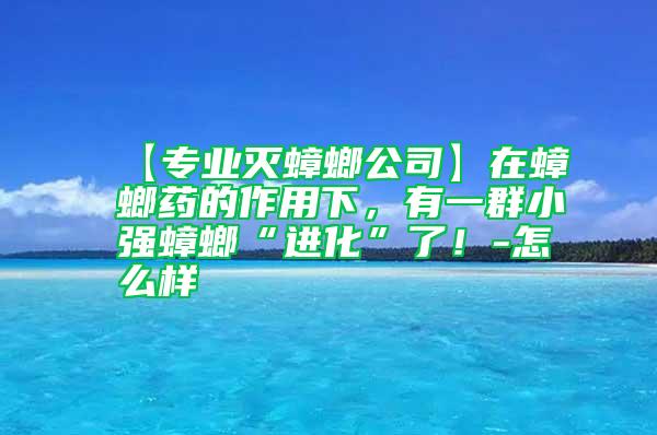 【专业灭蟑螂公司】在蟑螂药的作用下，有一群小强蟑螂“进化”了！-怎么样