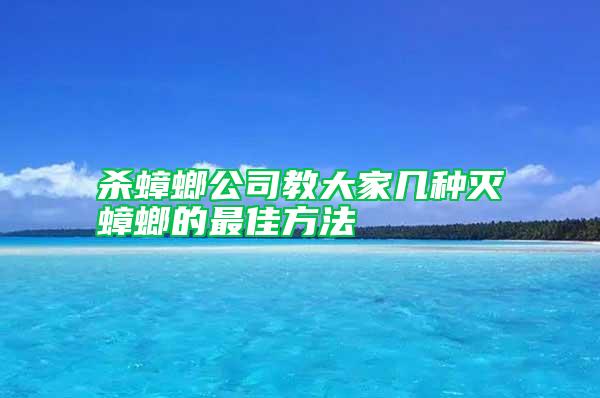 杀蟑螂公司教大家几种灭蟑螂的最佳方法