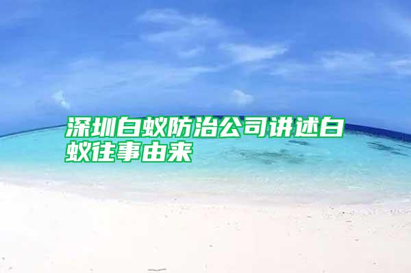 深圳白蚁防治公司讲述白蚁往事由来