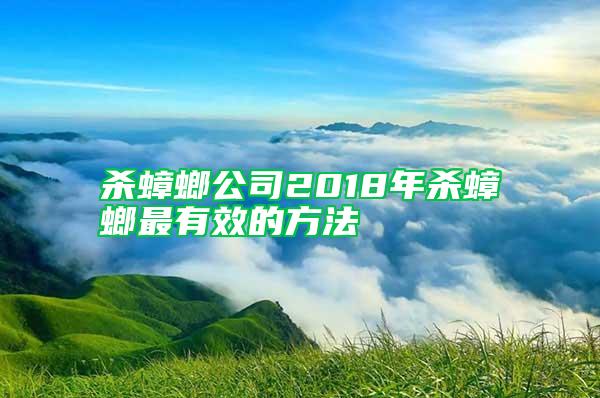 杀蟑螂公司2018年杀蟑螂最有效的方法