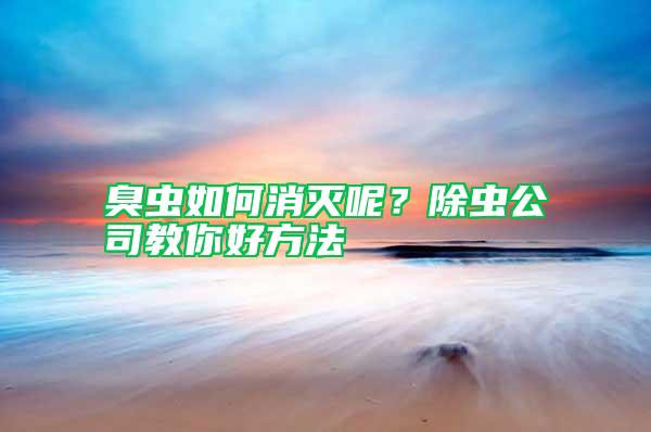 臭虫如何消灭呢？除虫公司教你好方法