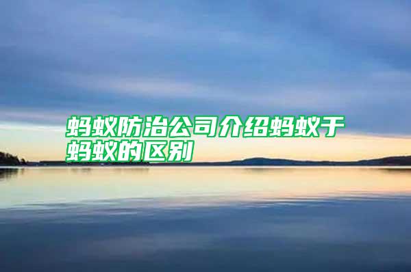 蚂蚁防治公司介绍蚂蚁于蚂蚁的区别