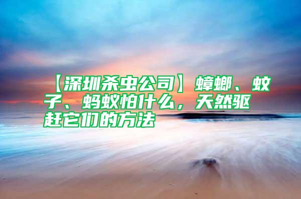 【深圳杀虫公司】蟑螂、蚊子、蚂蚁怕什么，天然驱赶它们的方法