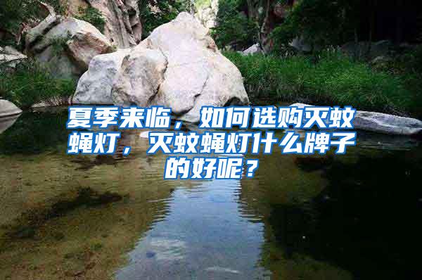 夏季来临，如何选购灭蚊蝇灯，灭蚊蝇灯什么牌子的好呢？