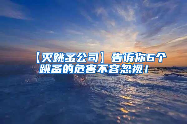 【灭跳蚤公司】告诉你6个跳蚤的危害不容忽视！